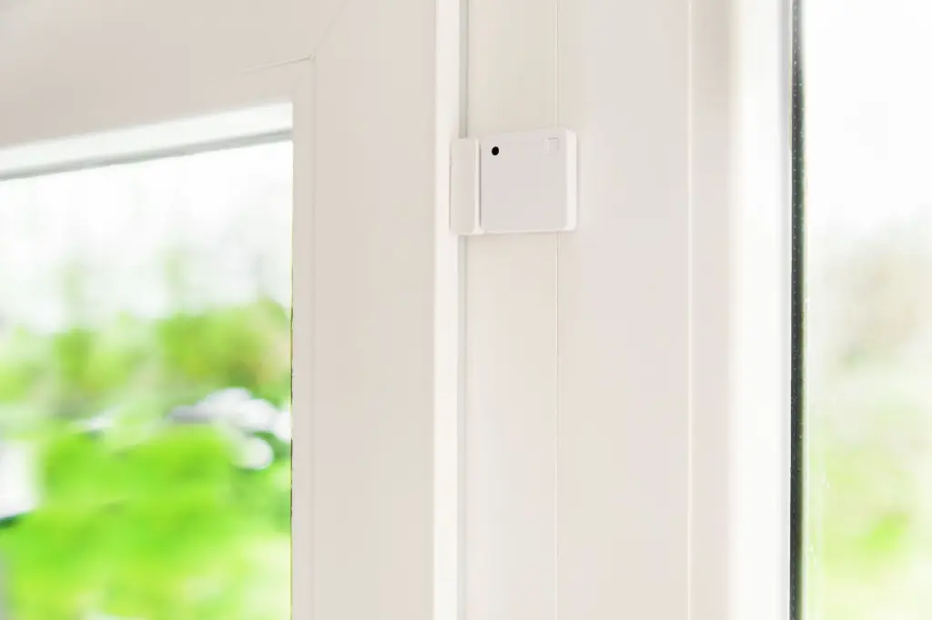 door_window_montage2.webp