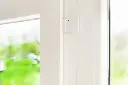 door_window_montage2.webp